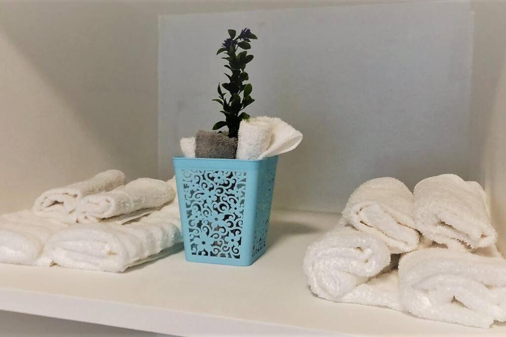 Lovely 1 Bedroom Apartment W/Private Parking إنسينادا المظهر الخارجي الصورة